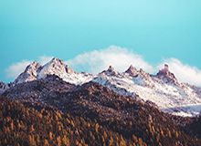 世界杯历史数据-【德甲】小阿扎尔进球难救主 多特主场1比2不敌科隆