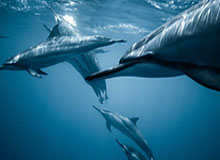 世界杯决赛记录-【足协杯】宋文杰梅开二度 富力6比1东吴晋级8强